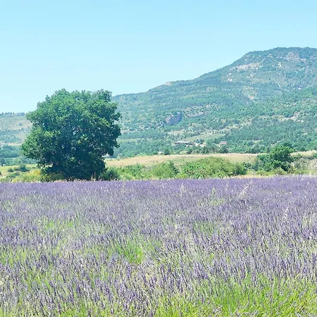 Aubanel' Drome Provencale *